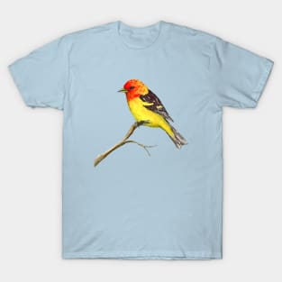 Western tanager watercolor and ink drawing T-Shirt